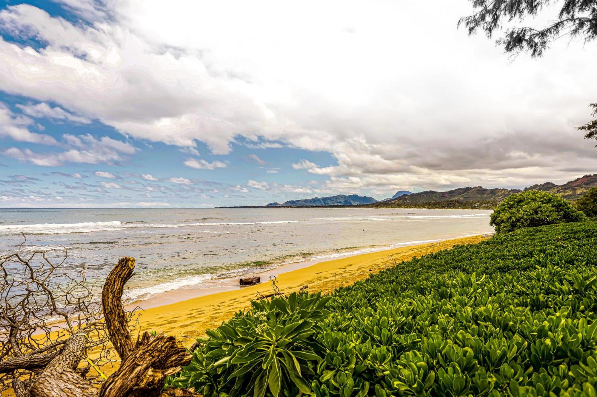 Islander On The Beach 170 Kapa'a Exterior foto